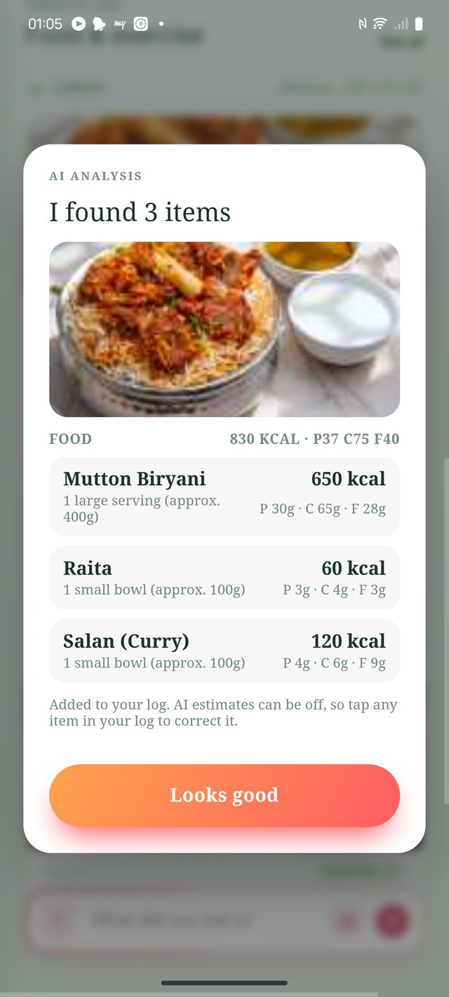 AI analyzing a full plate of biryani