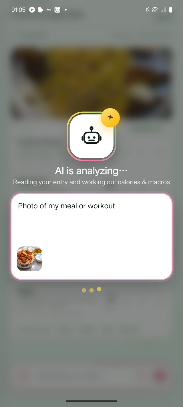 AI found three items: biryani, raita and salan